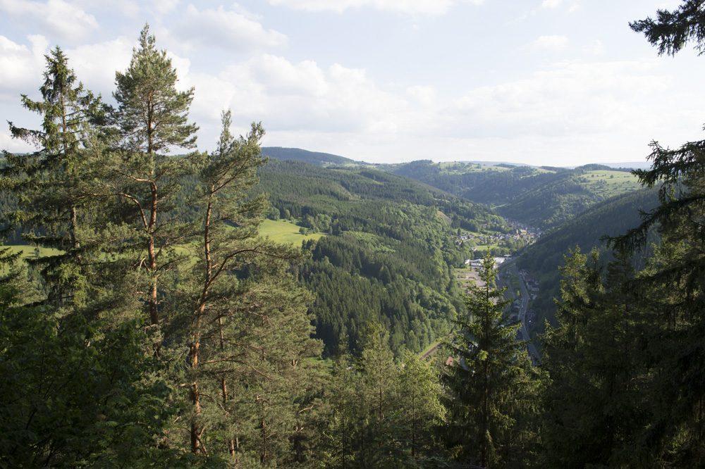 Blick ins Schwarzatal mit bewaldeten Hängen